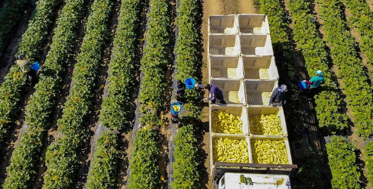 Agricultor en su finca